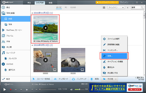 realplayer converter wikipedia